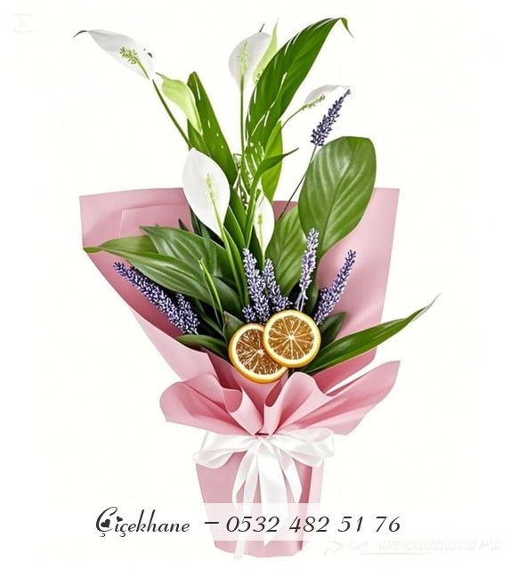 Barış Çiçeği Spathiphyllum (Spatifilyum)