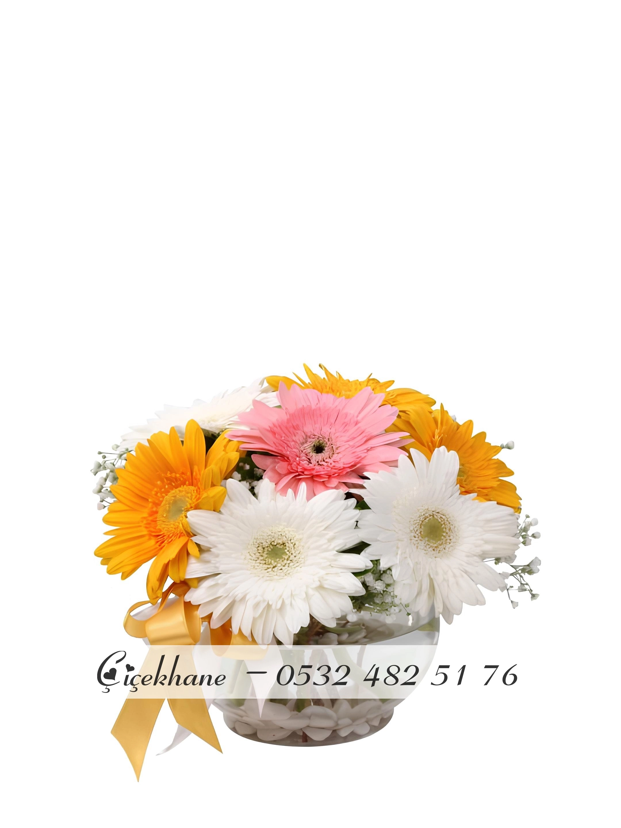 Cam Fanusta Gerberalar