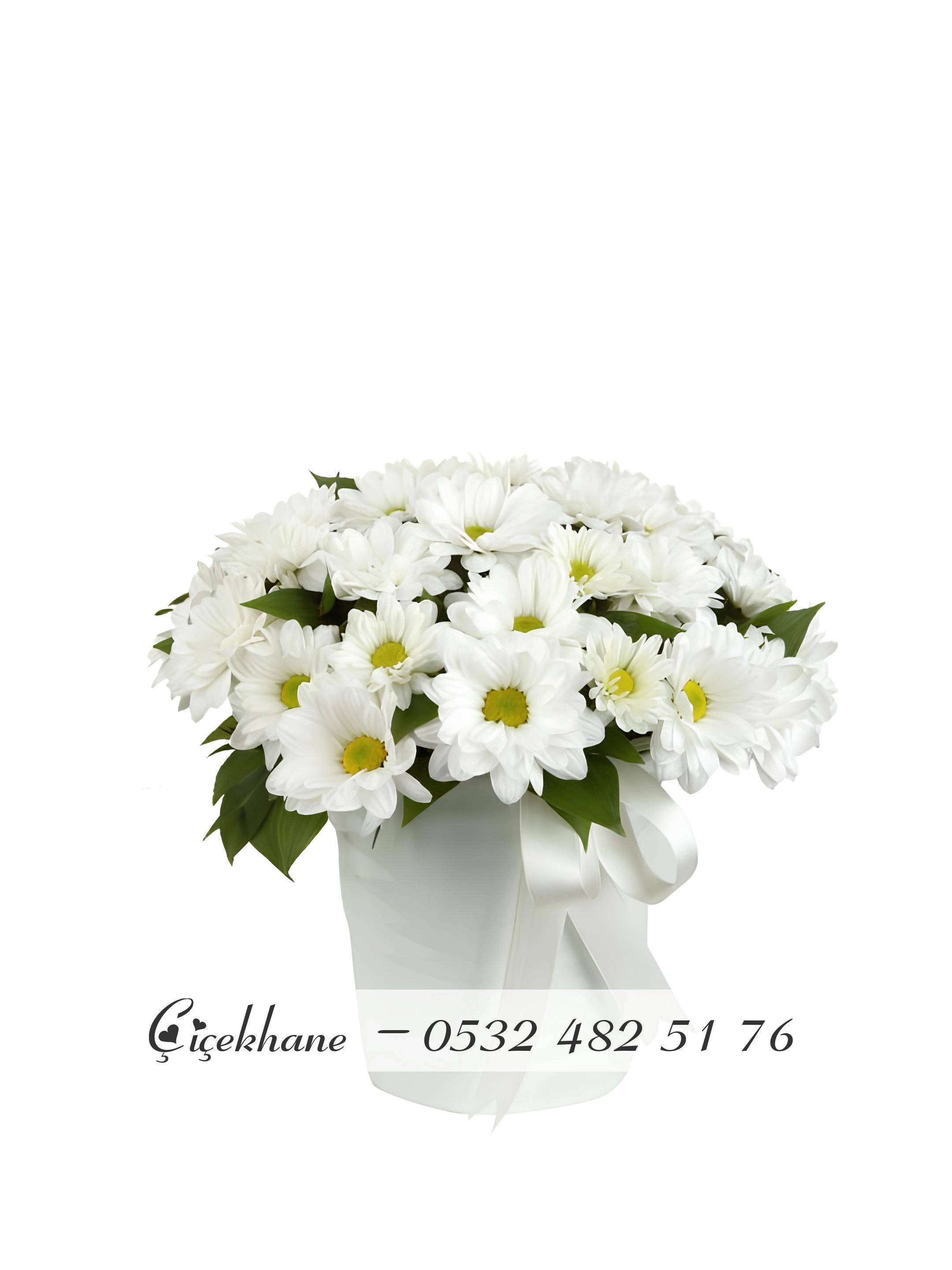 Cam Fanusta Papatyalar