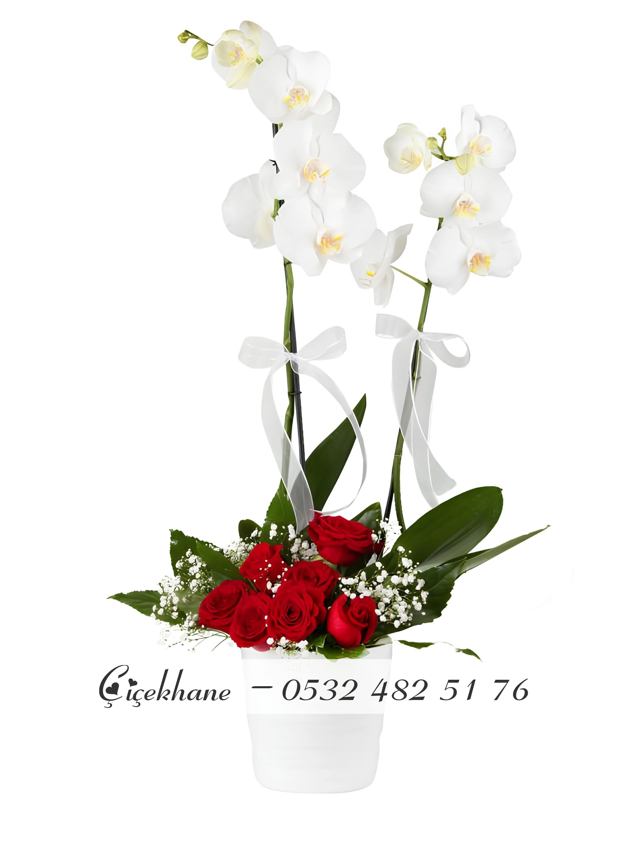 Güller Ve Çift Dallı Orkide