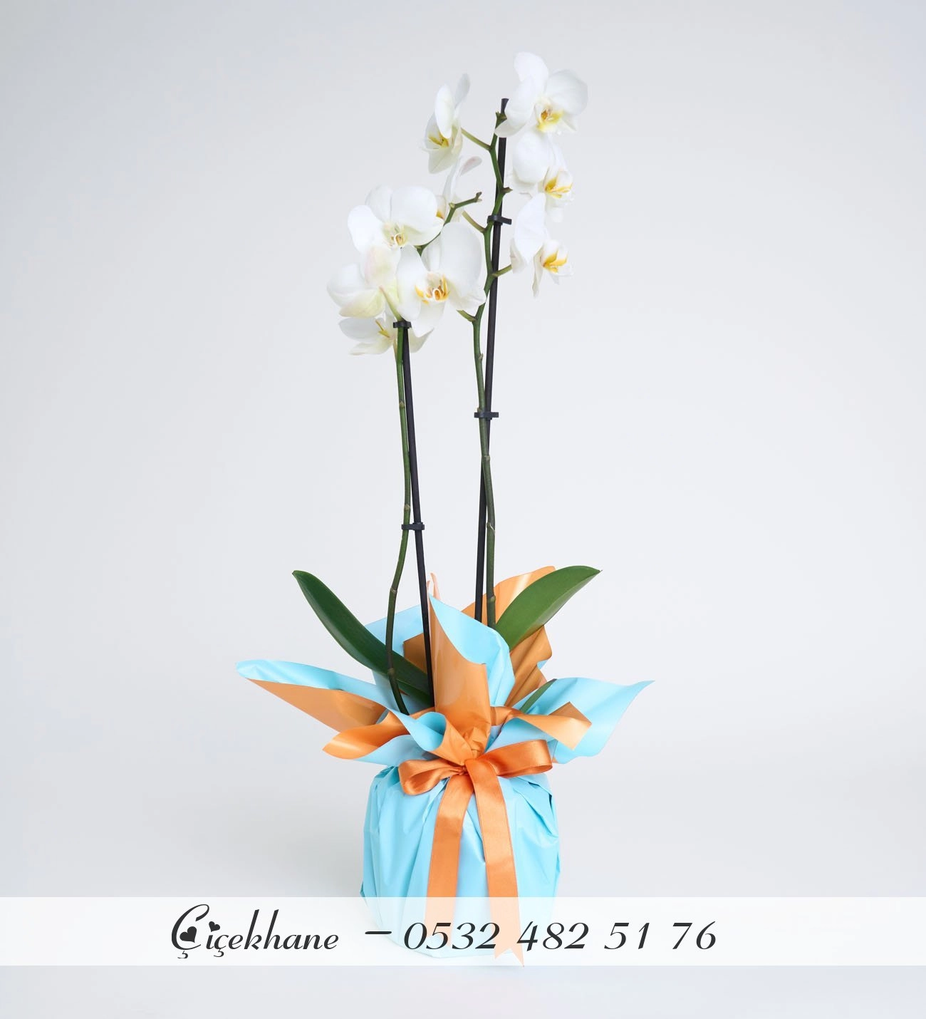 Mavi-Turuncu Buket Kağıtlı Çift Dal Beyaz Orkide