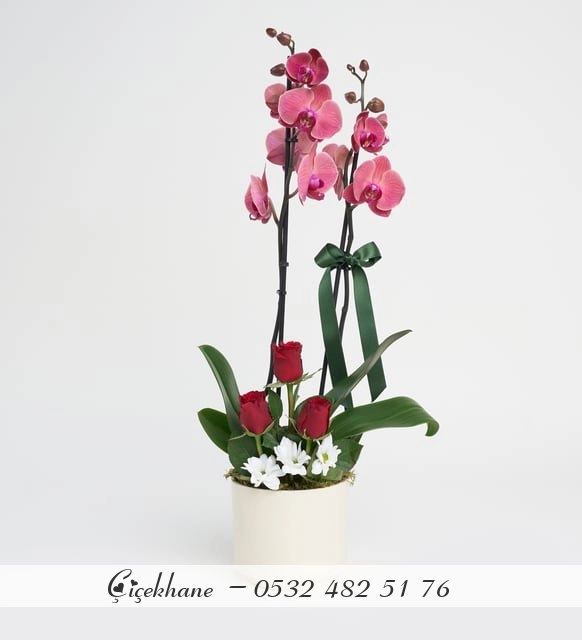 Seramik Saksıda Ateş Rengi Çift Dal Orkide Aranjmanı