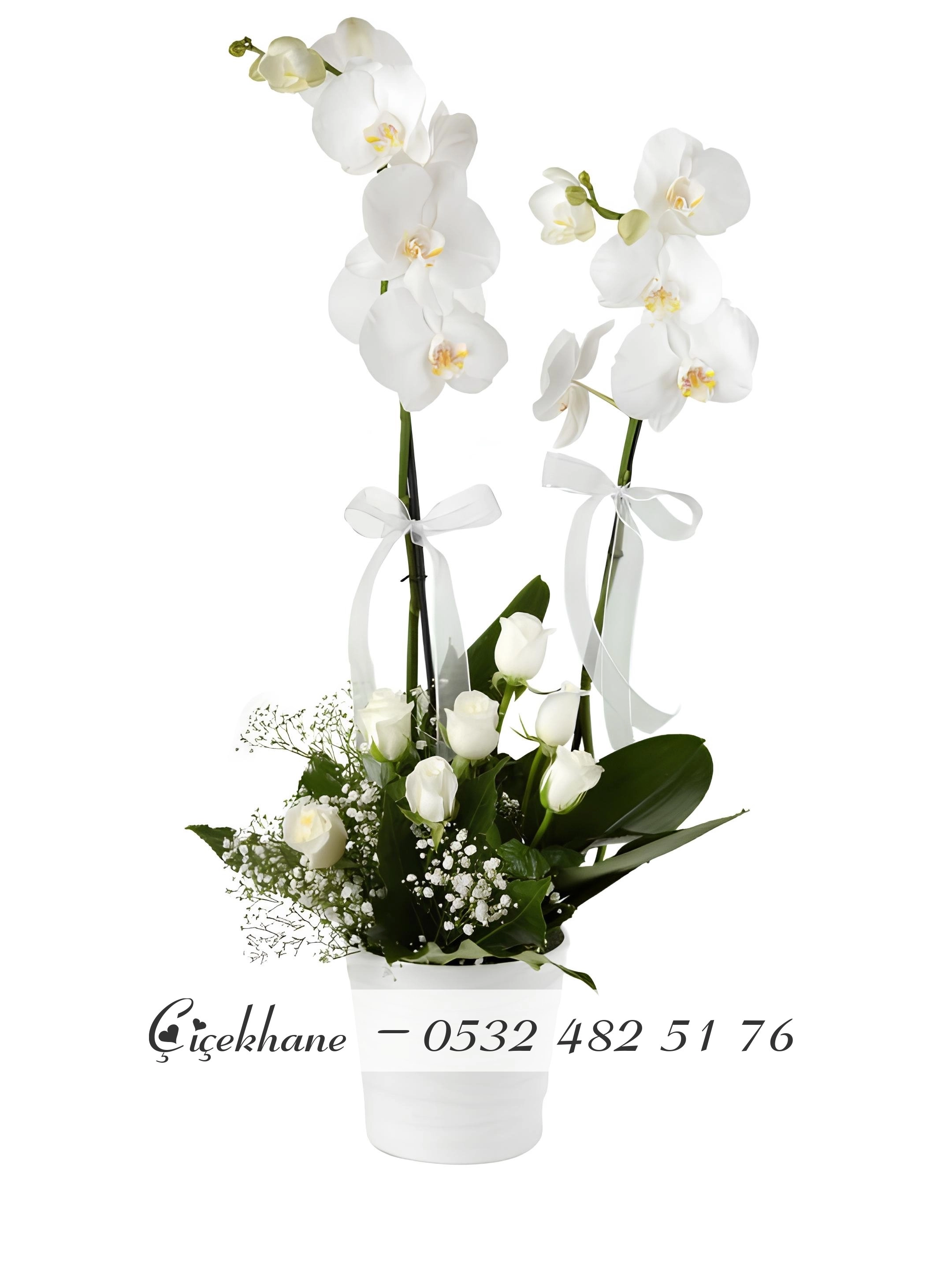 Seramik Vazoda Çift Dallı Beyaz Orkideler
