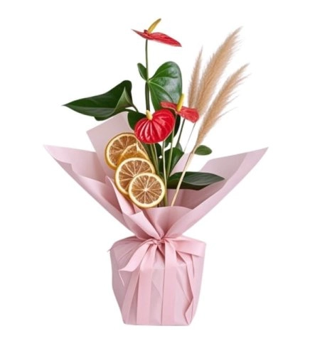 Buket Kağıtlı Antoryum