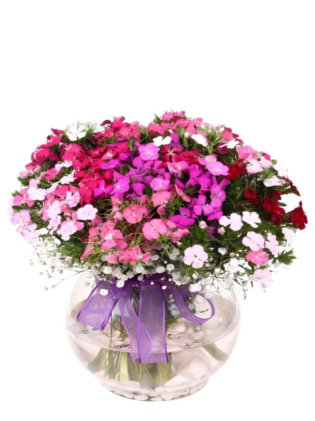 Cam Fanusta Baharın Küresi