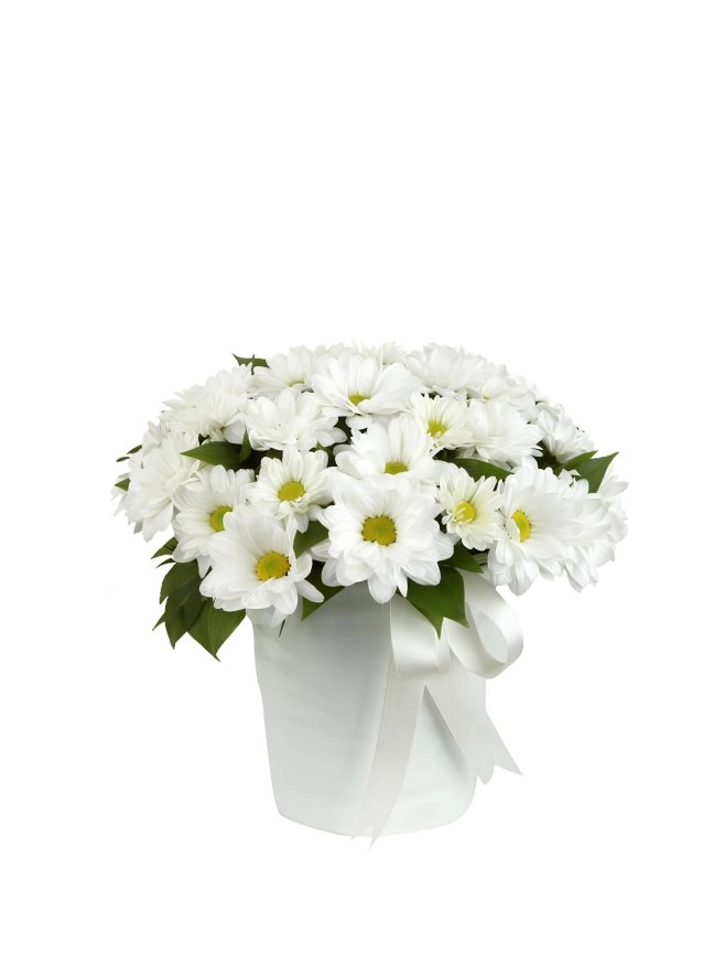 Cam Fanusta Papatyalar