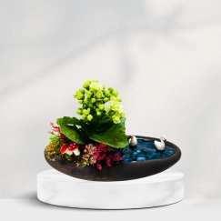 Dekor Saksıda Teraryum Ve Kalanchoe