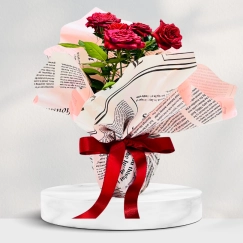 Saksıda Kırmızı Gül