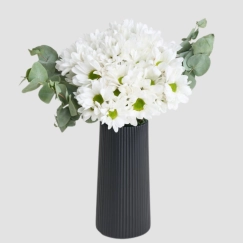 Siyah Vazoda Beyaz Papatlayar